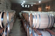 climatiza&ccedil;&atilde;o de caves de barril