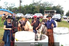 Cavalgada Campeira