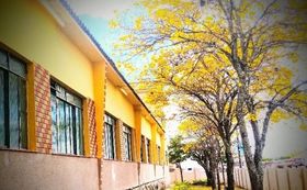 &Aacute;rvores na Escola Estadual Santo Ant&ocirc;nio