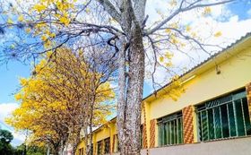 Escola Estadual Santo Ant&ocirc;nio