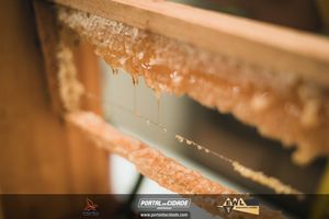 1&ordm; Festival Gastron&ocirc;mico Cozinhas de Minas