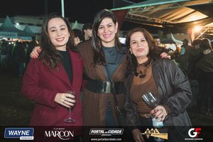 59&ordf; Festa do Vinho de Andradas