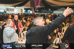 59&ordf; Festa do Vinho de Andradas