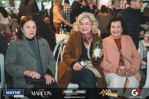 59&ordf; Festa do Vinho de Andradas
