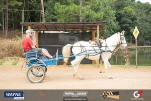 Anivers&aacute;rio de 2 anos do Parque Ecol&oacute;gico Olho D&rsquo;&aacute;gua