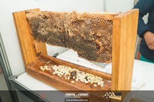 2&ordm; Festival Gastron&ocirc;mico Cozinhas de Minas