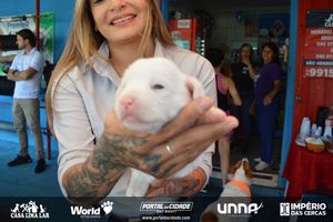 Caf&eacute; da Manh&atilde; com Orienta&ccedil;&atilde;o Veterin&aacute;ria