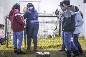 54&ordf; Exp&ocirc;- Parte II