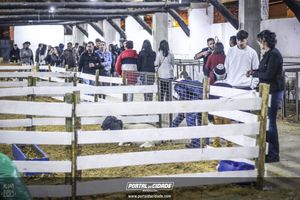 54&ordf; Exp&ocirc;- Parte II