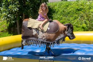 Chegada do Papai Noel CDL Brumadinho 2024