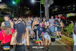 BRUMAS FOLIA 2025
