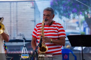 BRUMAS FOLIA 2025