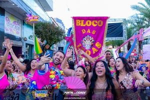 BRUMAS FOLIA 2025