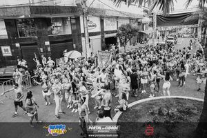 BRUMAS FOLIA 2025