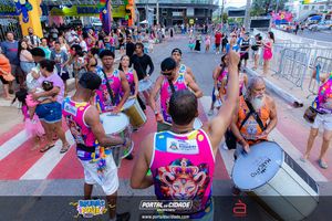 BRUMAS FOLIA 2025