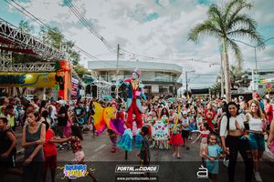 BRUMAS FOLIA 2025