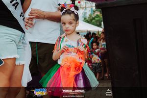BRUMAS FOLIA 2025