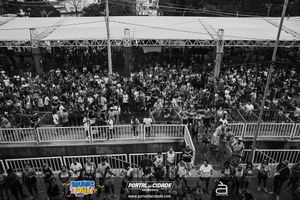 BRUMAS FOLIA 2025