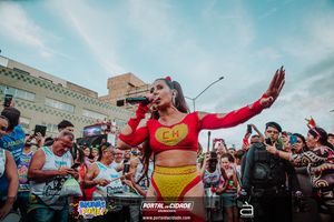 BRUMAS FOLIA 2025