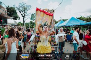 BRUMAS FOLIA 2025