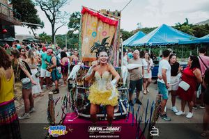 BRUMAS FOLIA 2025