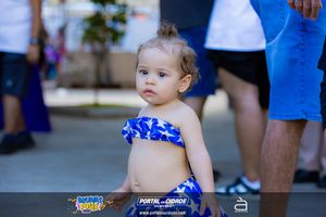 BRUMAS FOLIA 2025