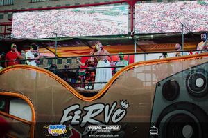 BRUMAS FOLIA 2025
