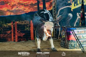 Brumadinho Agro Show