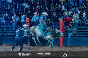 BRUMADINHO AGROSHOW 2025