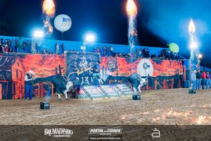 BRUMADINHO AGROSHOW 2025