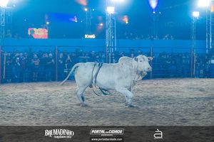 BRUMADINHO AGROSHOW 2025