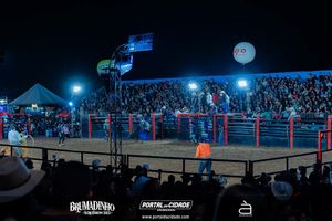 BRUMADINHO AGROSHOW 2025