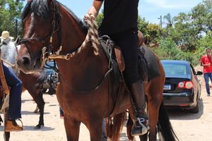 7&ordf; edi&ccedil;&atilde;o do Passeio de Amigos re&uacute;ne mais de 500 cabreuvanos