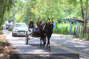7&ordf; edi&ccedil;&atilde;o do Passeio de Amigos re&uacute;ne mais de 500 cabreuvanos