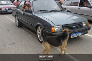 Desfile C&iacute;vico-Militar de 7 de Setembro