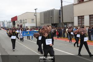 Desfile C&iacute;vico-Militar de 7 de Setembro