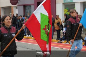 Desfile C&iacute;vico-Militar de 7 de Setembro