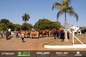 40&ordm; Romaria de Cavaleiros | Festa do Desterro