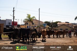 40&ordm; Romaria de Cavaleiros | Festa do Desterro