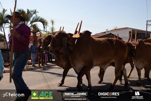 40&ordm; Romaria de Cavaleiros | Festa do Desterro