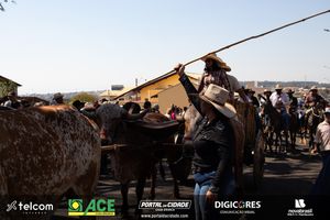 40&ordm; Romaria de Cavaleiros | Festa do Desterro
