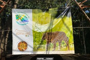 Domingo no Parque