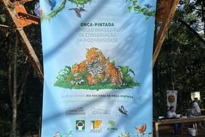 Domingo no Parque