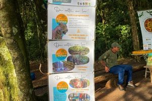 Domingo no Parque