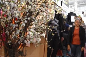 EXPOCA