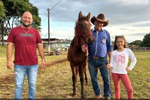 Cavalgada Campeira
