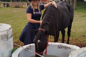 Cavalgada Campeira