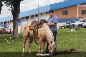 Cavalgada Campeira
