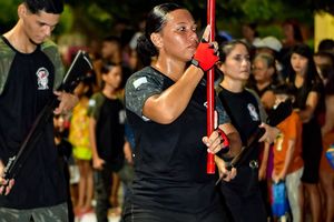 Desfile C&iacute;vico  