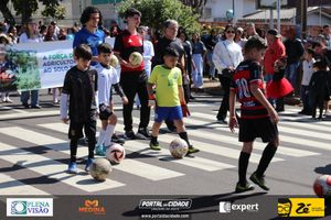 Desfile C&iacute;vico do Anivers&aacute;rio de Cruzeiro do Oeste